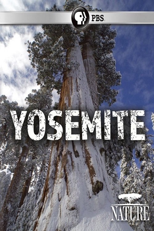 Постер Nature: Yosemite